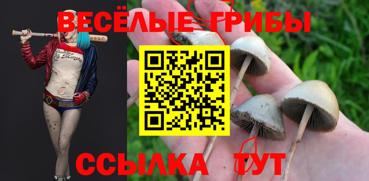 Электросталь  Псилоцибиновые грибы мухоморы  Вход с VPN 